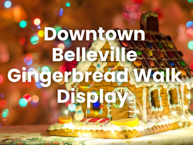 Downtown Belleville Gingerbread Walk Display 